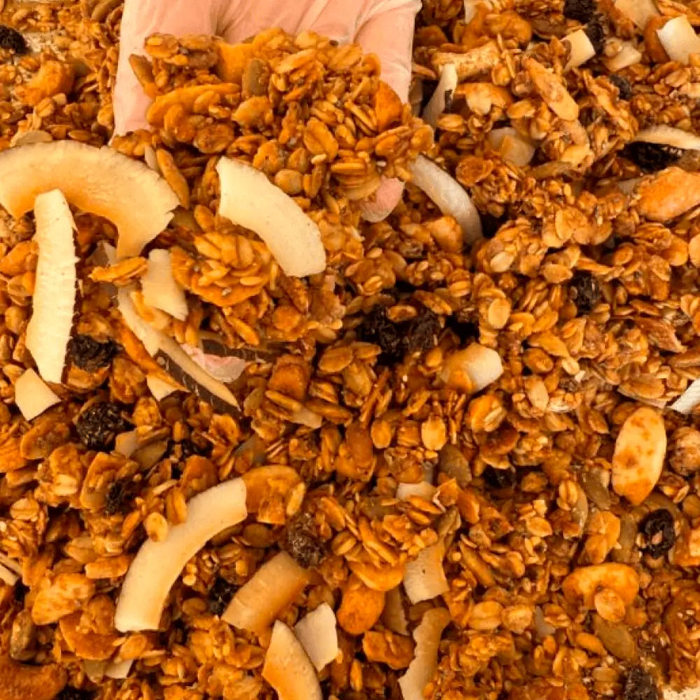 Granola Laranja & Baunilha Proteica